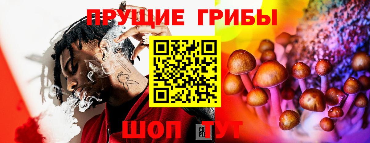 наркошоп  Вход с VPN  Моздок  Галлюциногенные грибы Magic Shrooms 