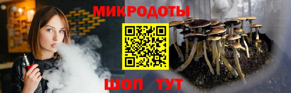 Галлюциногенные грибы Psilocybe Моздок
